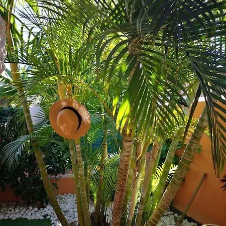 Holiday home Wohlfuehloase In Maspalomas Maspalomas (Gran Canaria)