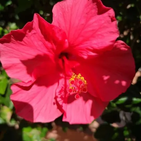 Holiday home Wohlfuehloase In Maspalomas *