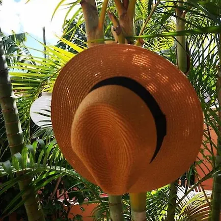 Wohlfuehloase In Maspalomas *