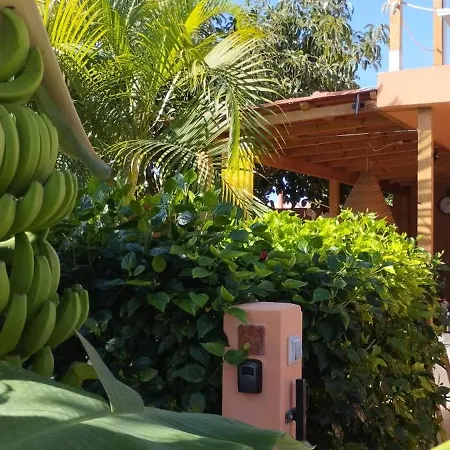 Wohlfuehloase In * Maspalomas (Gran Canaria)
